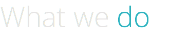 What we do